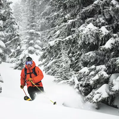 Image: If you seek out the comforting embrace of our wooden chaperones of the high country, you will learn the secrets of tree skiing in the INW