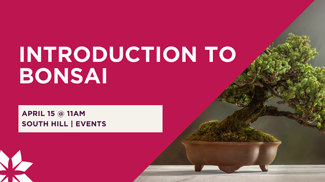 Image: Introduction to Bonsai