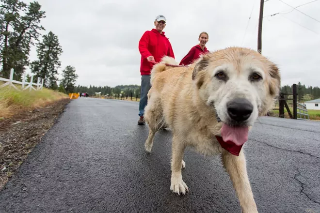 PHOTOS: Parade of Paws