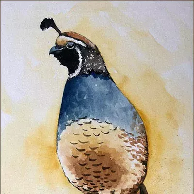 Image: Katie Frey