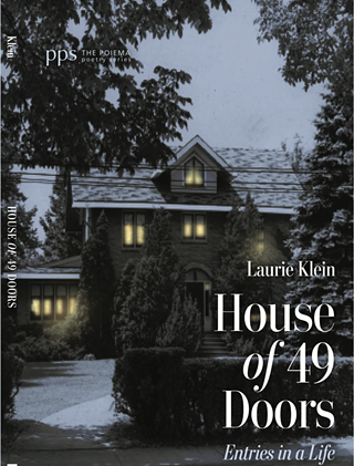Image: Laurie Klein: House of 49 Doors