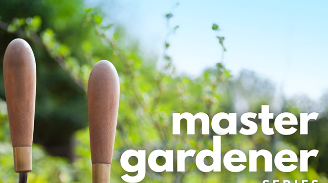Image: Master Gardener Workshop: Low Maintenance