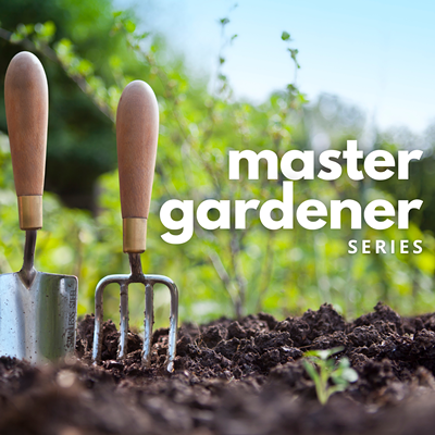Image: Master Gardener Workshop: Low Maintenance