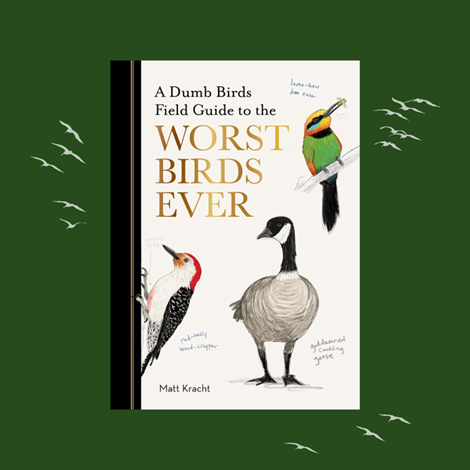 a_dumb_birds_guide_to_the_worst_birds_ever_by_matt_instagram.png