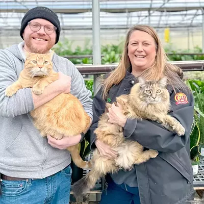 Image: Meet Ritters Garden &amp; Gifts' resident felines, Petunia and Felix