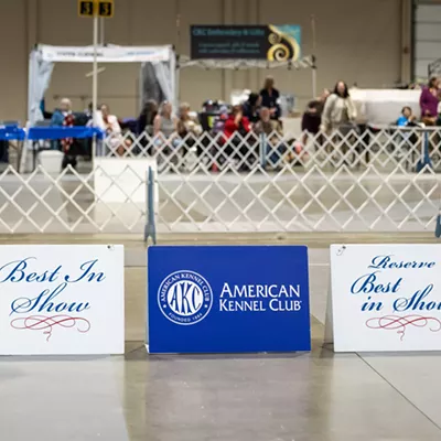 Image: Memorial Day Cluster Dog Show