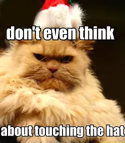 MORNING HEADLINES: Now with 108 percent more Christmas lolcats