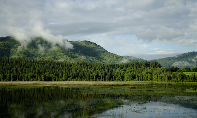 OUTLANDER: Idaho coho, open advisory groups and backcountry cannibalism