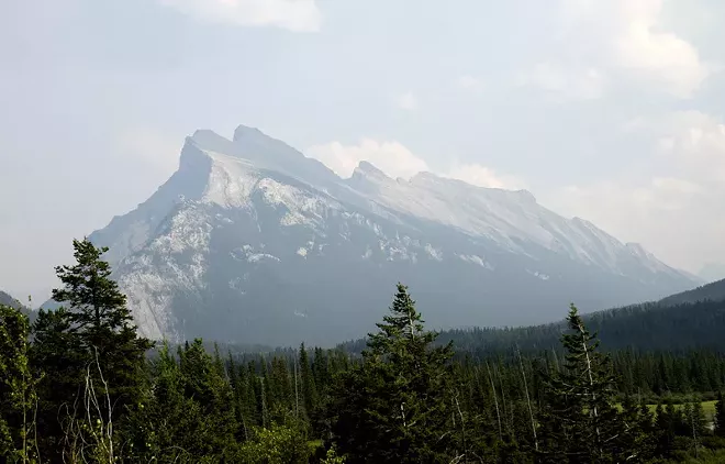 Weekly report: Mountain day, winter fishing and problem predators