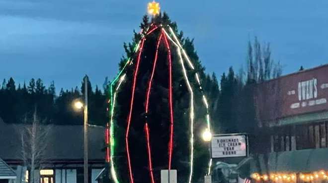 Newport man bashes town's 'pathetic' Christmas tree, rekindles community spirit