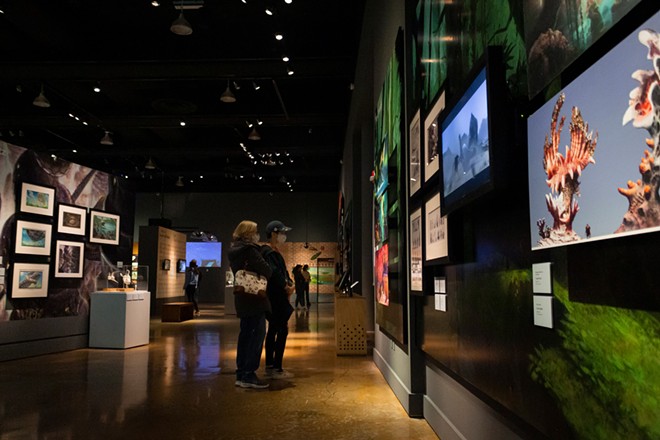 Image: DreamWorks Animation exhibit opens at the MAC