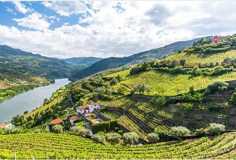 Duoro Wine Region of Portugal