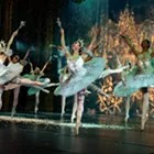 Image: Nutcracker! Magical Christmas Ballet