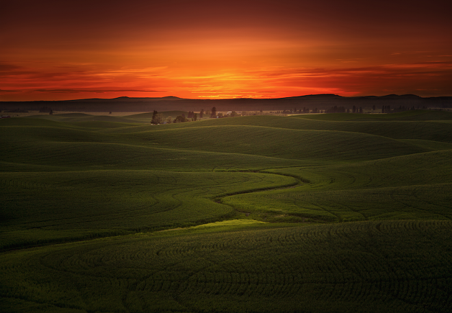 Photographers share more tips, pics on capturing the outdoors