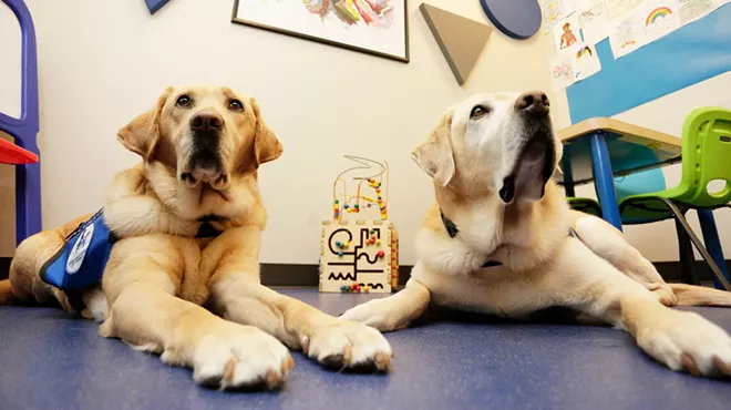 Image: Partners with Families and Children’s courthouse dog program helps young people navigate tough experiences