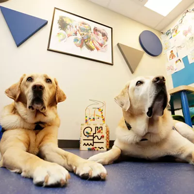 Image: Partners with Families and Children’s courthouse dog program helps young people navigate tough experiences