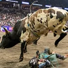 Image: PBR Pendleton Whisky Velocity Tour