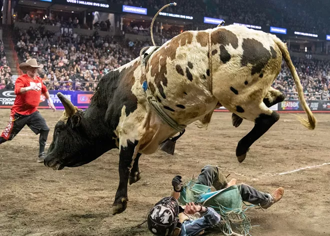 pbr-bullriding-14.webp