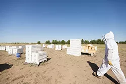 PHOTOS: Local beekeepers and their hives