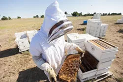 PHOTOS: Local beekeepers and their hives
