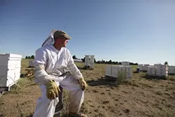 PHOTOS: Local beekeepers and their hives
