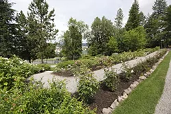 PHOTOS: Moore-Turner Heritage Gardens