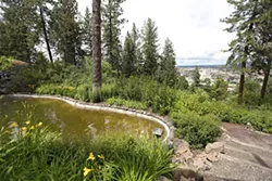 PHOTOS: Moore-Turner Heritage Gardens