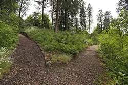 PHOTOS: Moore-Turner Heritage Gardens
