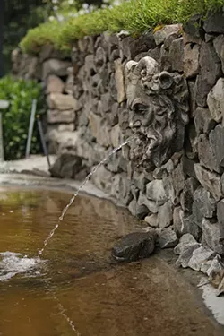 PHOTOS: Moore-Turner Heritage Gardens
