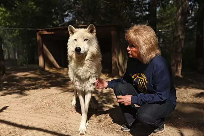 PHOTOS: Wolf People Center