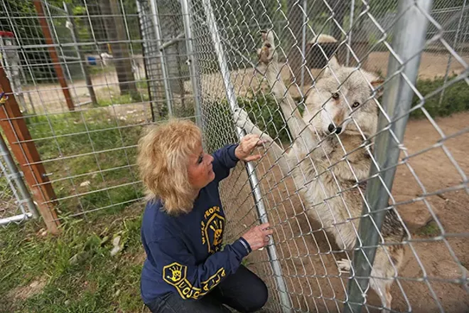 PHOTOS: Wolf People Center