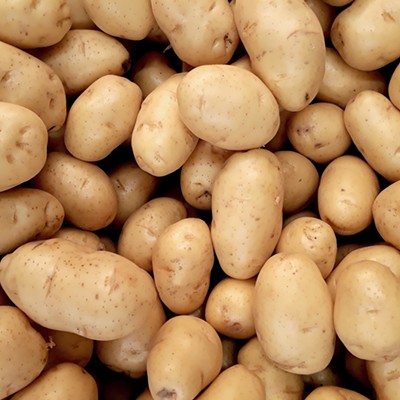 Plentiful Potatoes: How to best store and use those surplus spuds