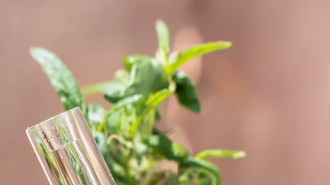Image: Rather than buying disposable cannabis vaporizers, check out these more sustainable options
