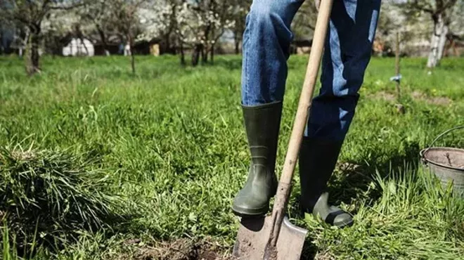 Image: Reforest Spokane Day, Northwest BachFest, and more events