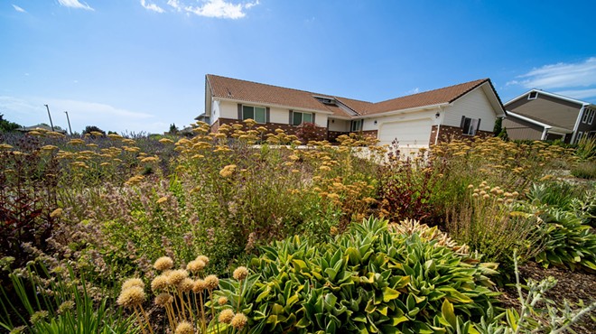 Image: Rethink landscaping with drought-tolerant plants and water-saving techniques