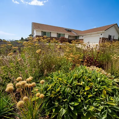 Image: Rethink landscaping with drought-tolerant plants and water-saving techniques