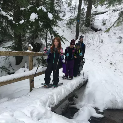 Image: Group of people snowshoeing in a snowy forest.