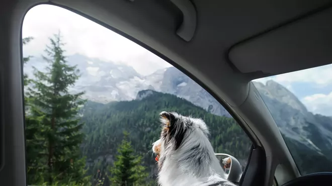 Image: Small adventures can make for big summer memories