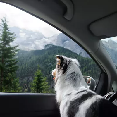 Image: Small adventures can make for big summer memories