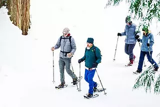 Image: Snowshoe Moonlight Tour