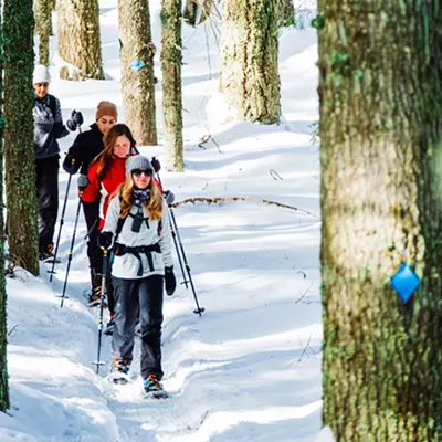 Image: Group of people snowshoeing in a snowy forest.