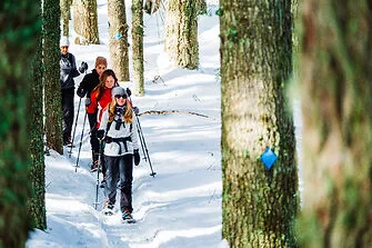 Group of people snowshoeing in a snowy forest.