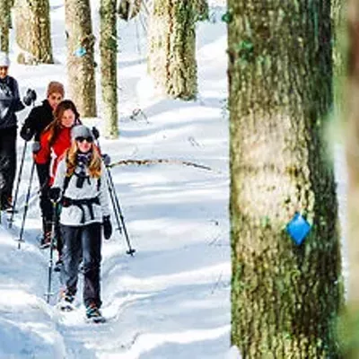 Image: Group of people snowshoeing in a snowy forest.