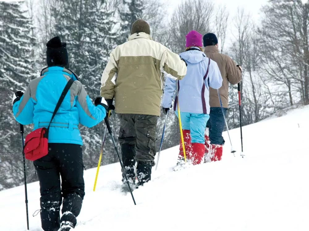 Snowshoeing When I Shouldn'&rsquo;t Be