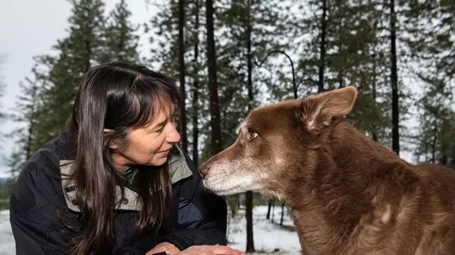 Image: Spokane-area animal shelters are facing financial stress and systemic issues