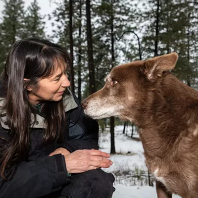 Image: Spokane-area animal shelters are facing financial stress and systemic issues