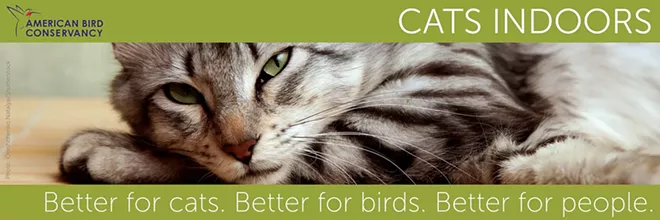 2014.8.19_cats_indoors_poster.webp