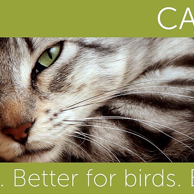 Spokane Audubon Meeting: Managing Cats to Protect Birds