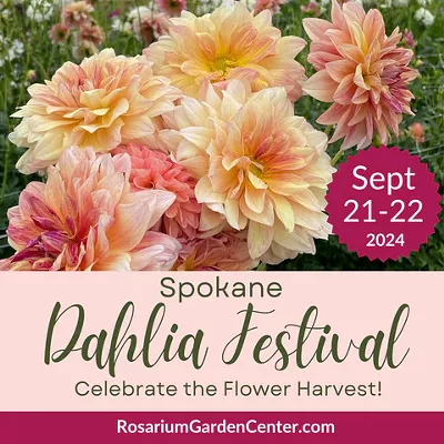 Spokane Dahlia Festival