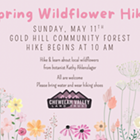 Image: Spring Wildflower Hike
